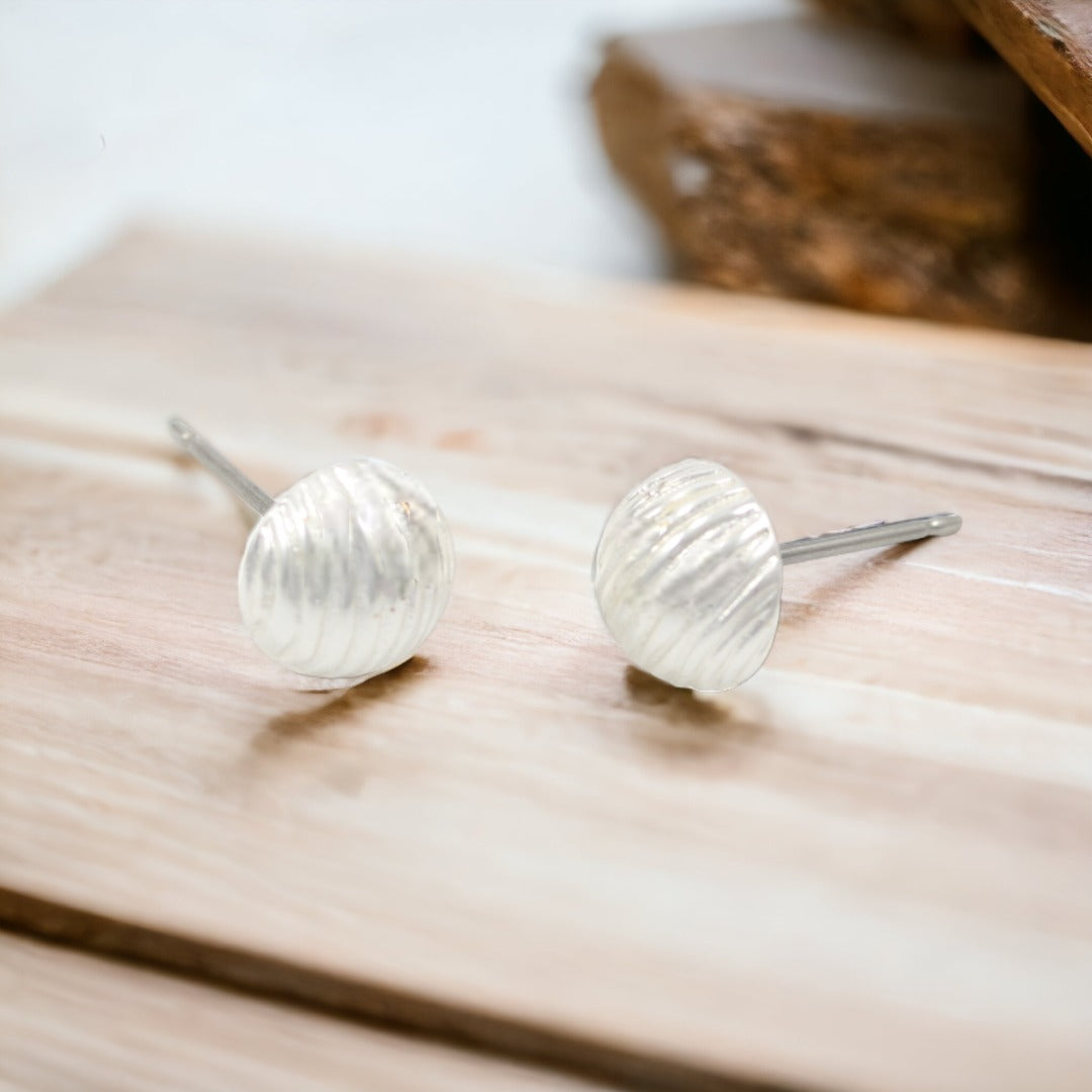 Circle Stud Silver Plated Earrings