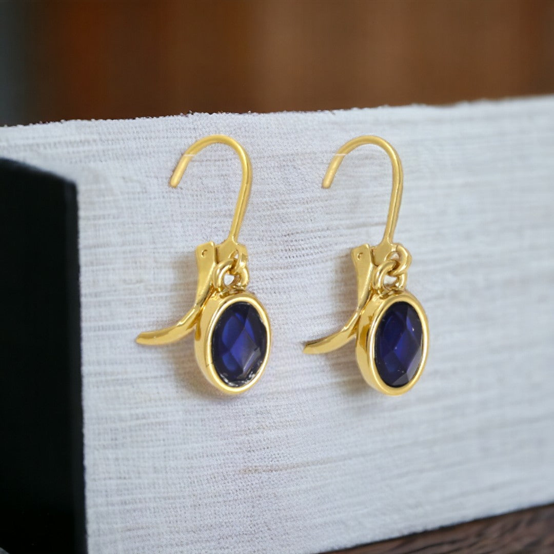 Dark Blue Stone Dangle Earrings