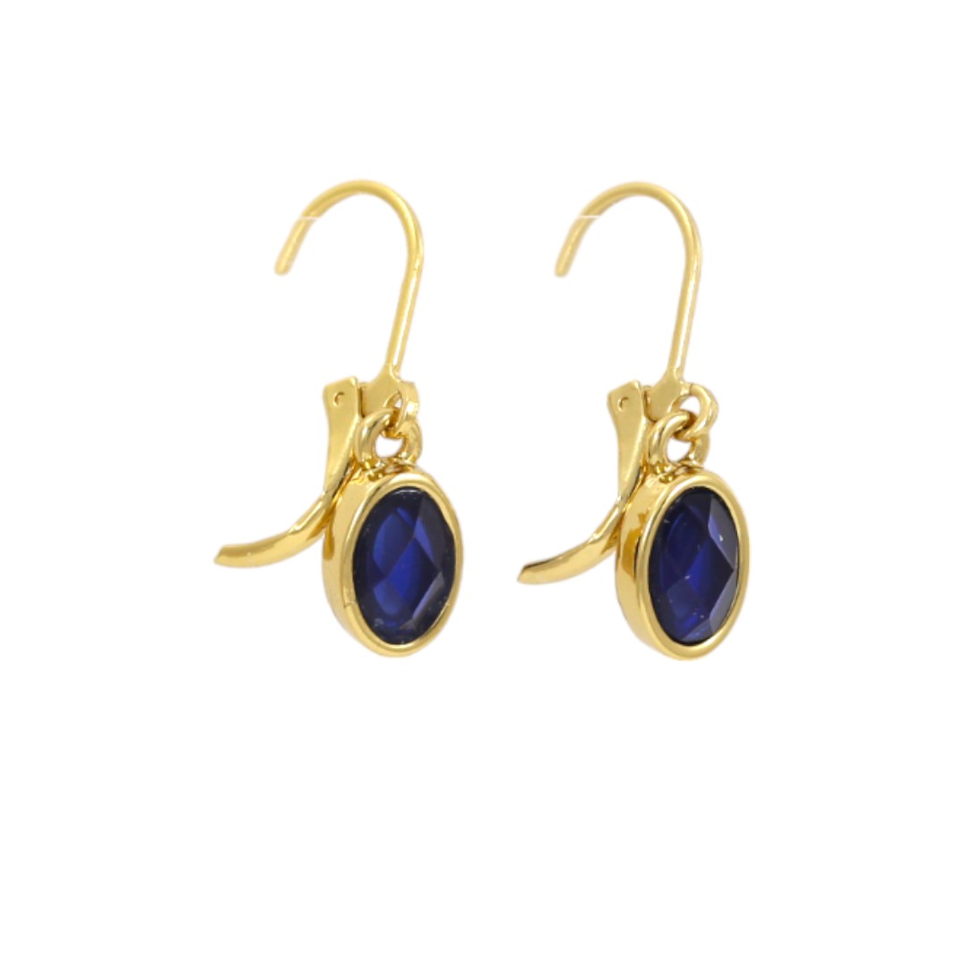 Dark Blue Stone Dangle Earrings