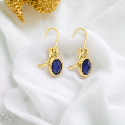 Dark Blue Stone Dangle Earrings Girl